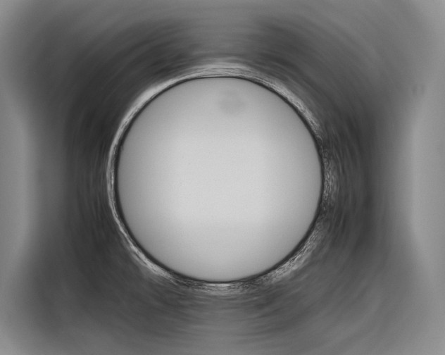 X0000116881478200912220934