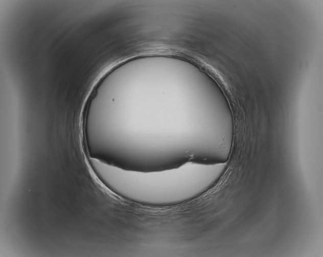 X0000116881479200912220934