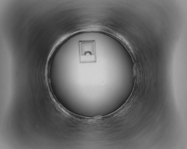 X0000116881480200912220934