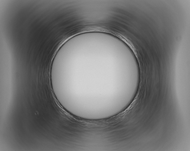 X0000116881481200912220934