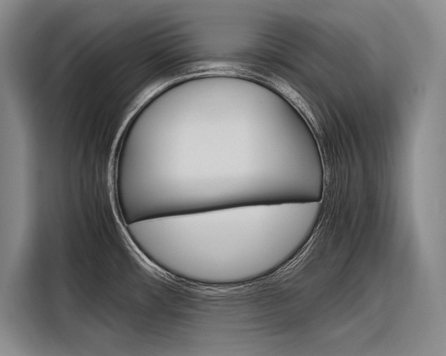 X0000116881482200912220934
