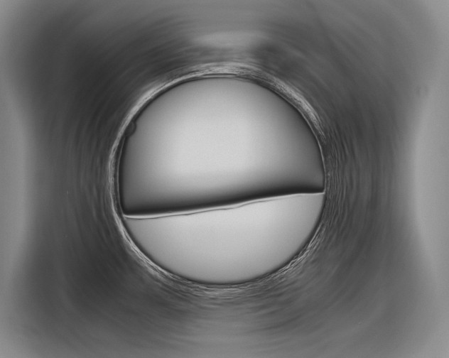 X0000116881483200912220934