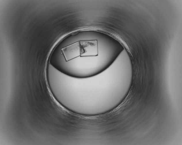 X0000116881484200912220934