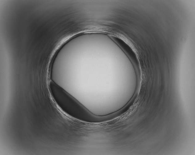 X0000116881485200912220934