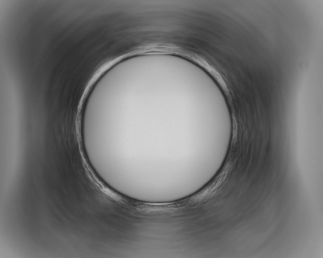 X0000116881486200912220934