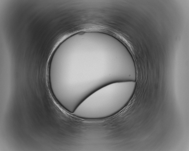 X0000116881487200912220934