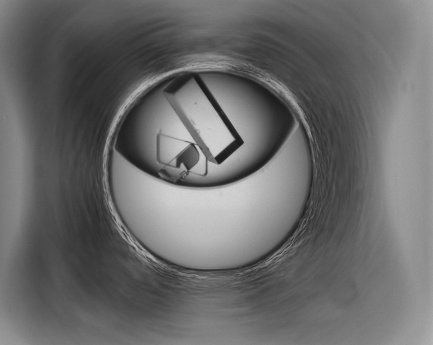X0000116881488200912220934