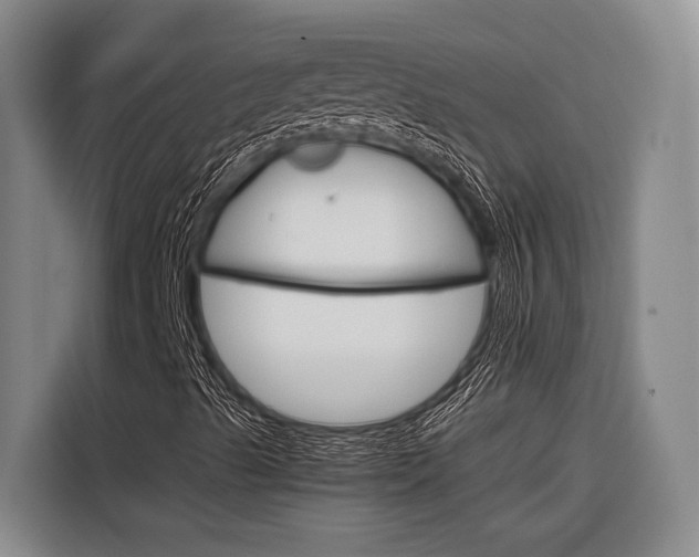 X0000116881489200912220934