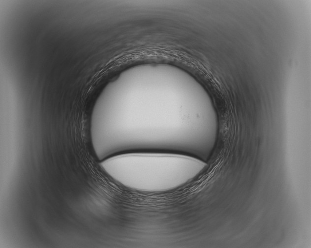X0000116881490200912220934