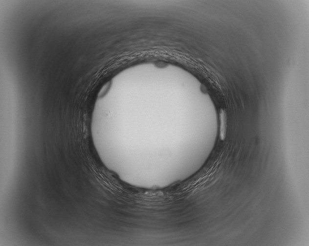 X0000116881491200912220934