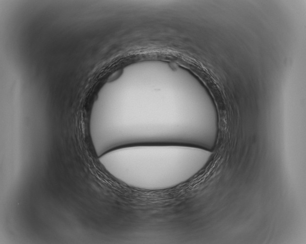 X0000116881493200912220934