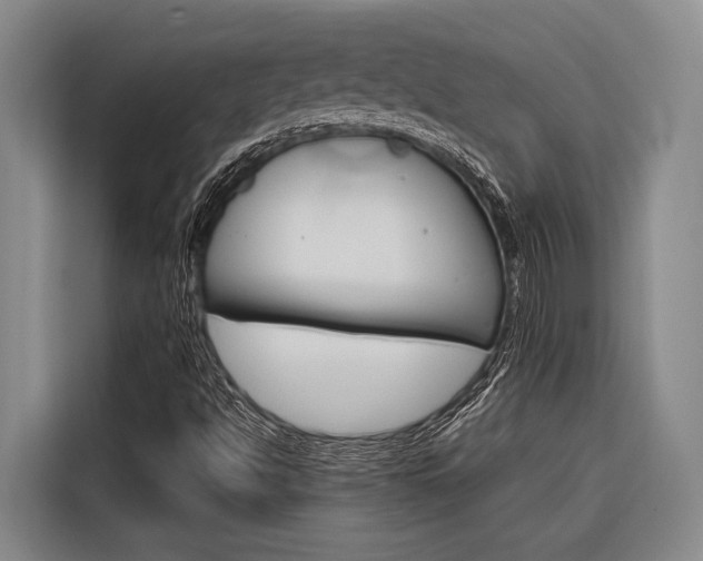 X0000116881494200912220934