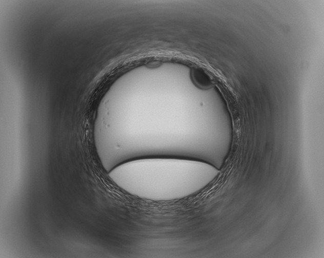 X0000116881495200912220934