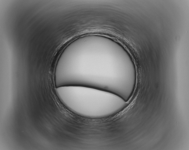 X0000116881497200912220934