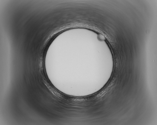 X0000116881499200912220934