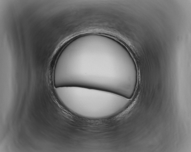 X0000116881501200912220934
