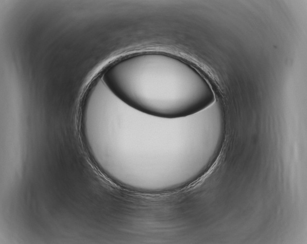 X0000116881502200912220934