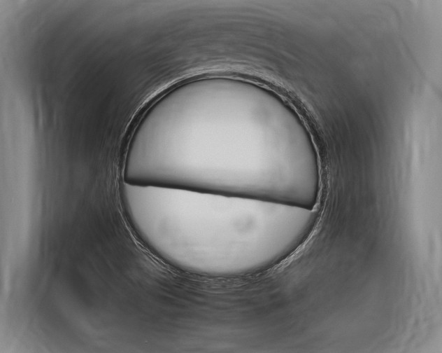 X0000116881505200912220934
