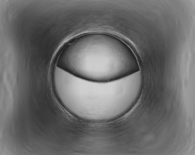 X0000116881506200912220934