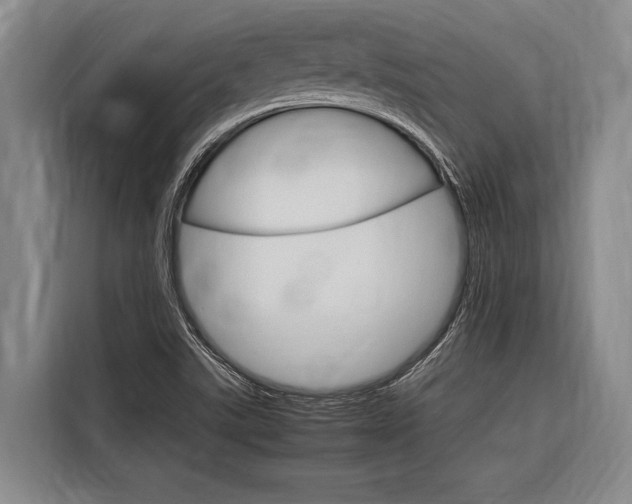 X0000116881507200912220934
