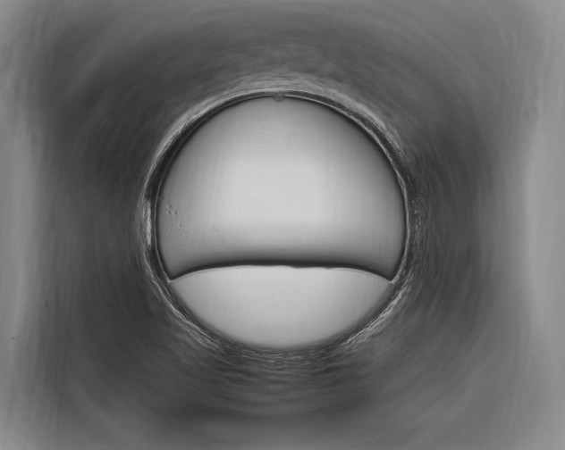 X0000116881509200912220934