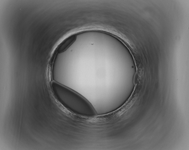 X0000116881510200912220934