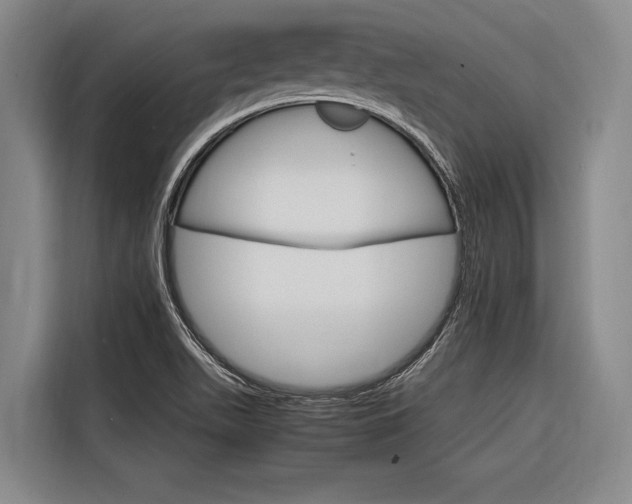 X0000116881511200912220934