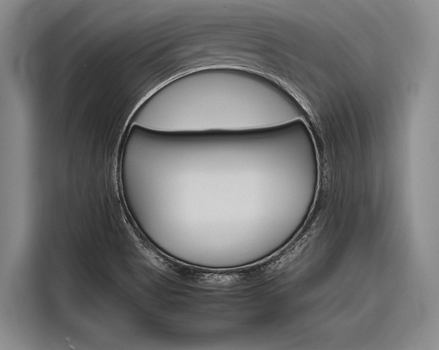 X0000116881513200912220934