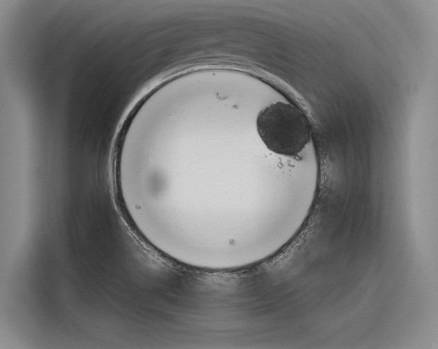 X0000116881514200912220934