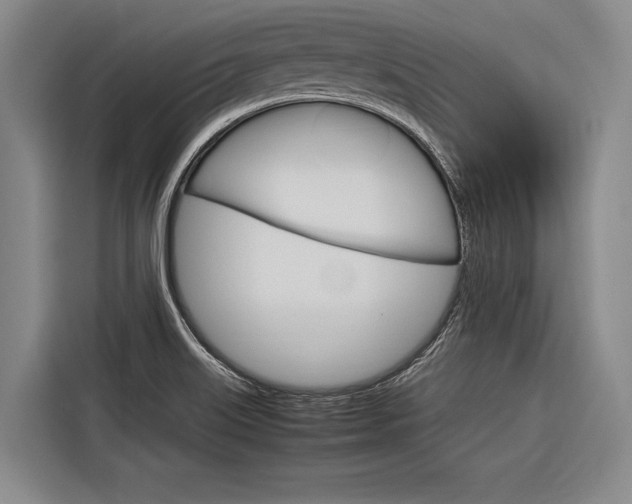 X0000116881515200912220934