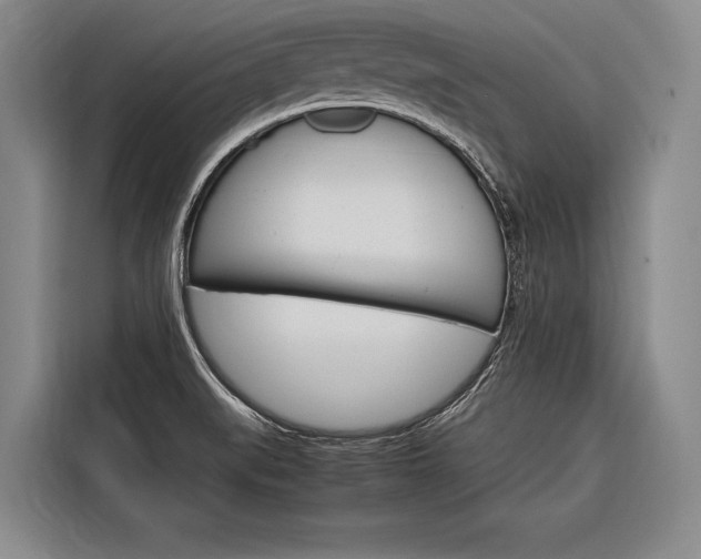 X0000116881519200912220934