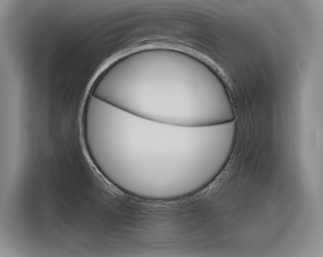 X0000116881522200912220934
