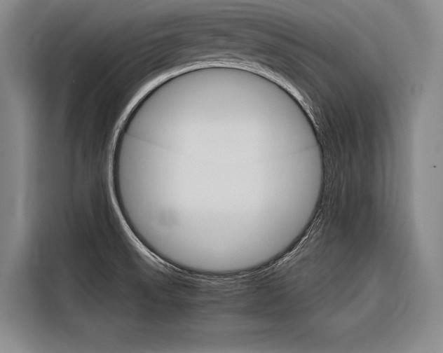 X0000116881523200912220934
