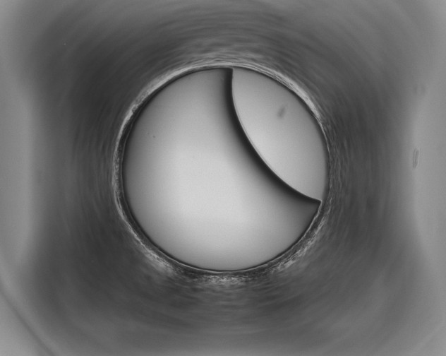 X0000116881525200912220934