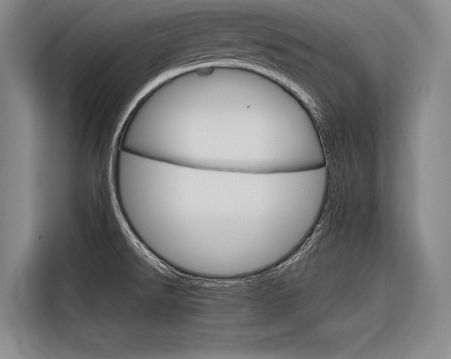 X0000116881526200912220934