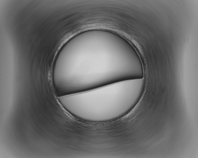X0000116881529200912220934
