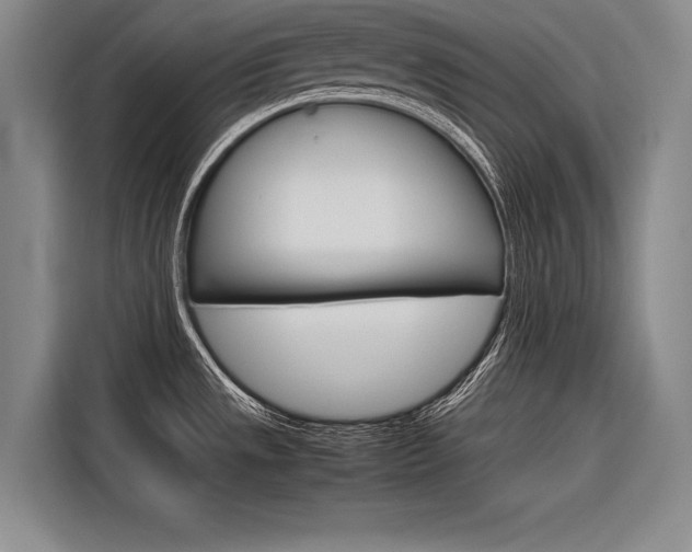 X0000116881533200912220934