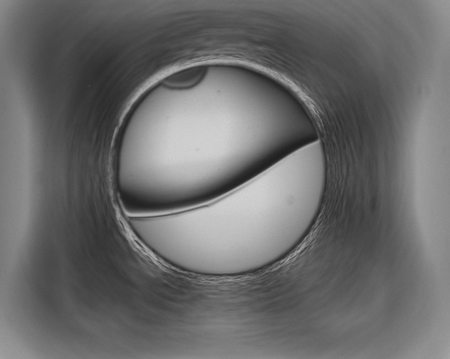 X0000116881534200912220934