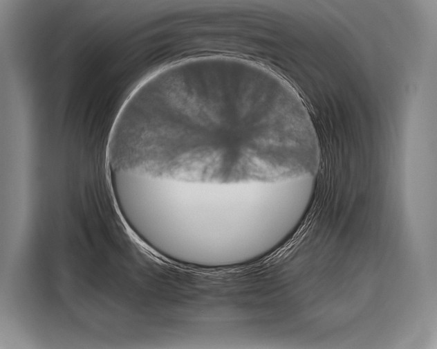X0000116881535200912220934