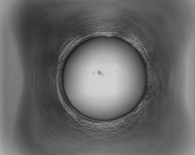 X0000116880001200912221435