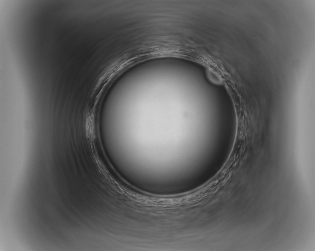X0000116880002200912221435