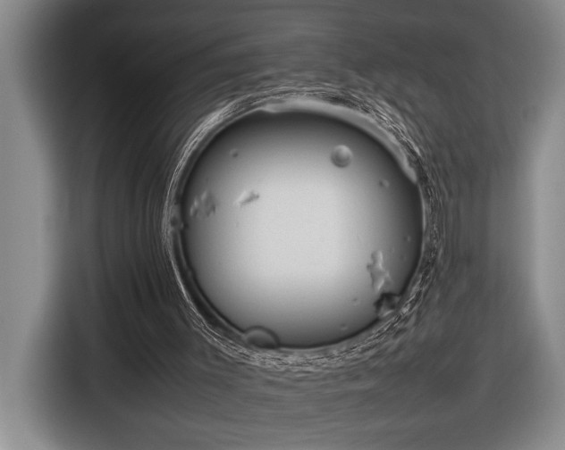 X0000116880003200912221435