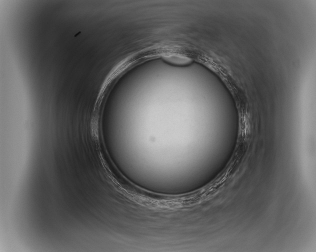 X0000116880004200912221435