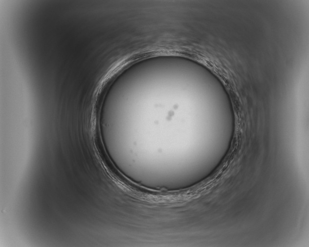 X0000116880005200912221435