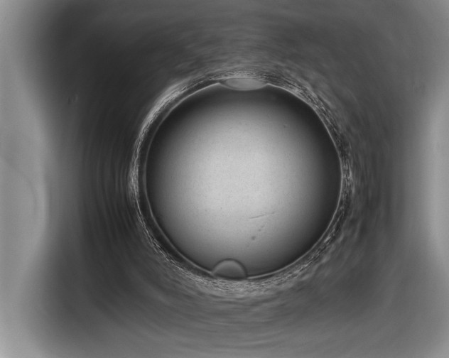 X0000116880006200912221435