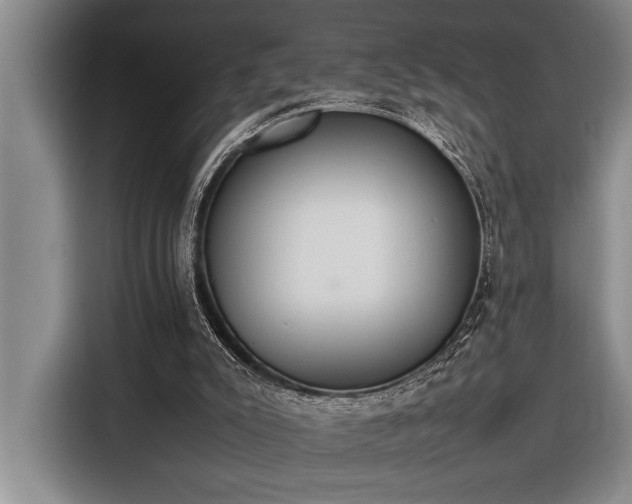 X0000116880007200912221435
