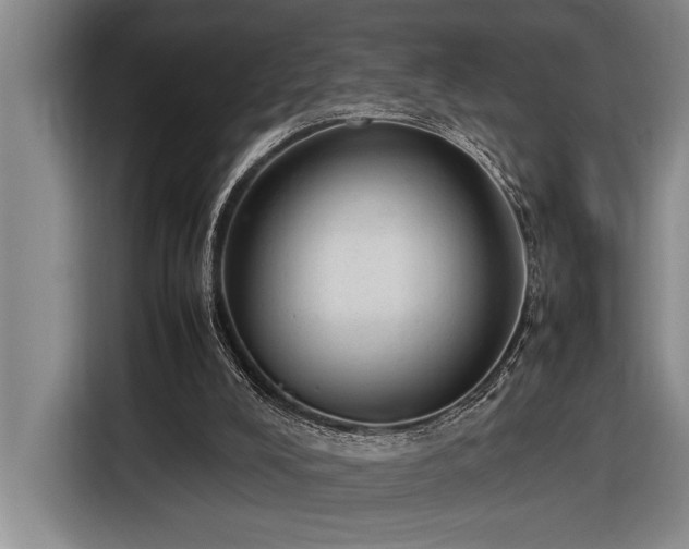 X0000116880008200912221434