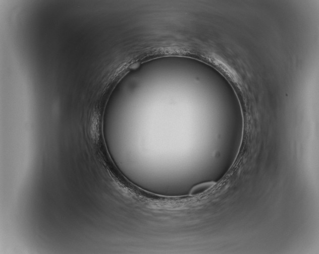 X0000116880009200912221434