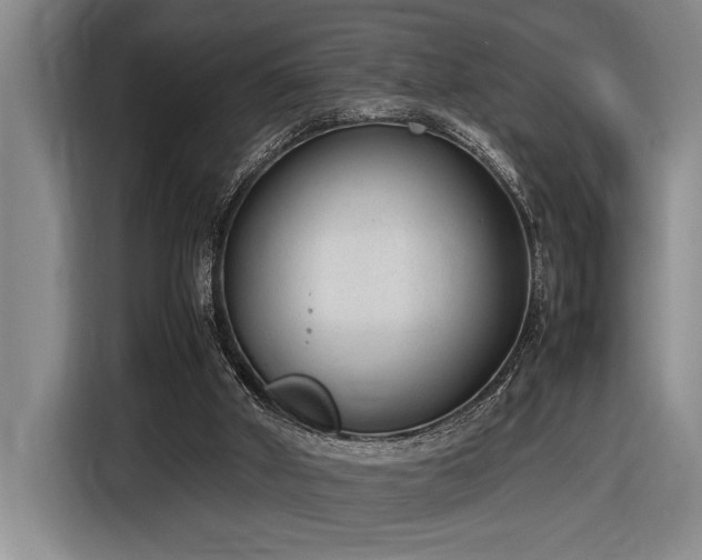 X0000116880010200912221434