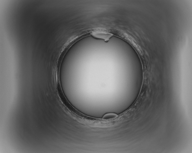 X0000116880011200912221434